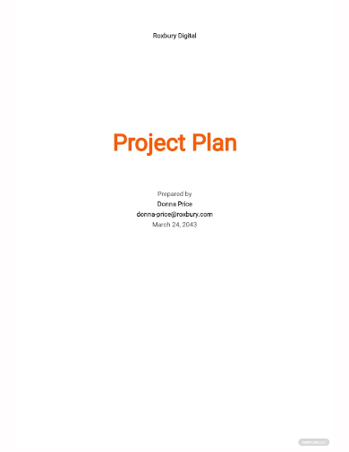 software implementation plan template