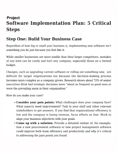 software project implementation business plan1