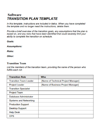 software project leader transition plan