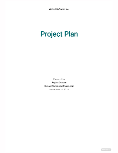 software project plan template
