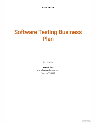 software testing business plan template