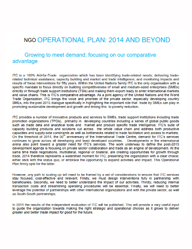 standard ngo operational plan