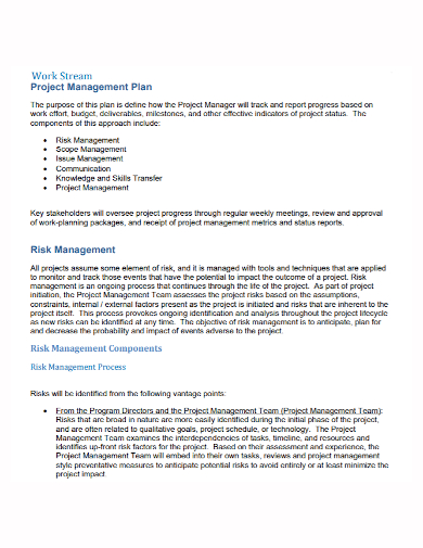 standard project management work plan
