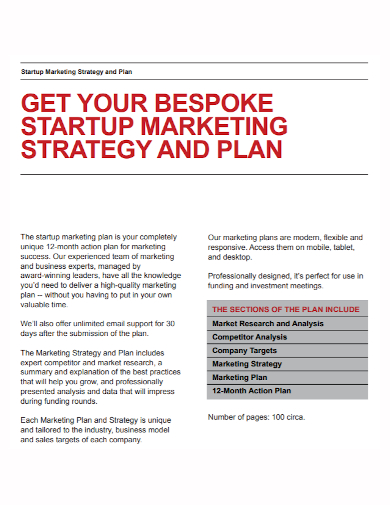 startup marketing strategy plan