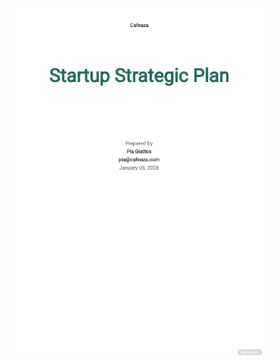 startup strategic plan template