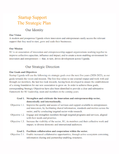 startup support strategic plan