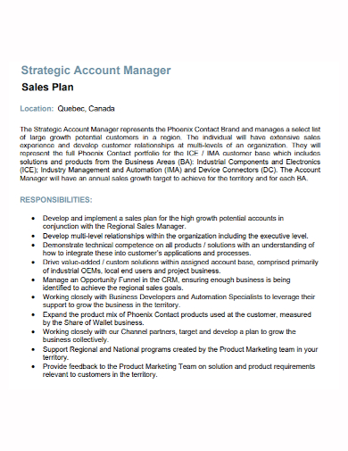 strategic account manager sales plan