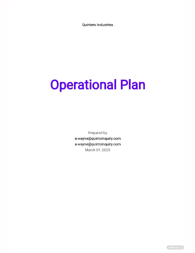 team operational plan template