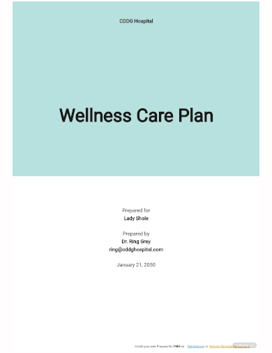 wellness care plan template