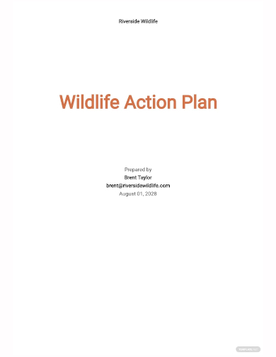 wildlife action action plan template
