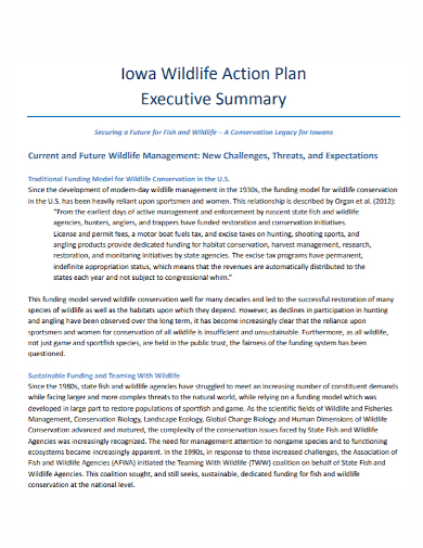 wildlife action plan summary