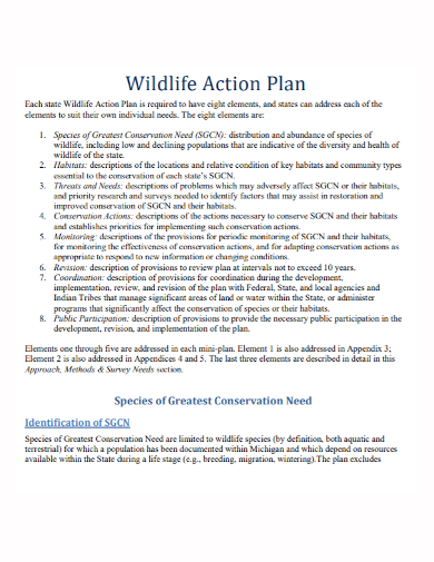 wildlife conservation action plan