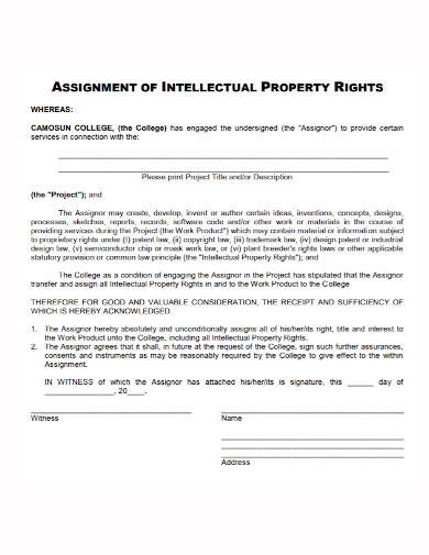 assignment of intellectual property rights