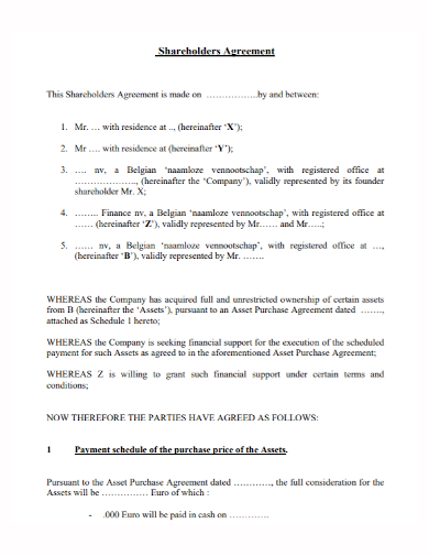 basic shareholders agreement