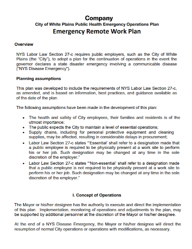 company emergency operations remote work plan