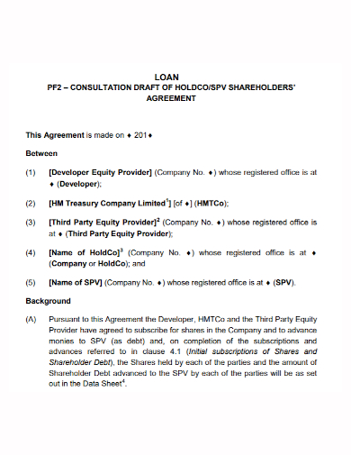 consultation shareholders loan agreement