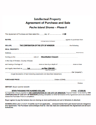 ip purchase and sale agreement