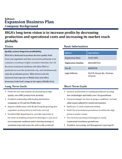 software company expansion business plan
