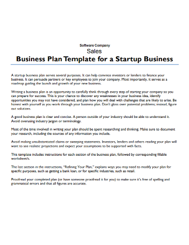 software company sales business plan