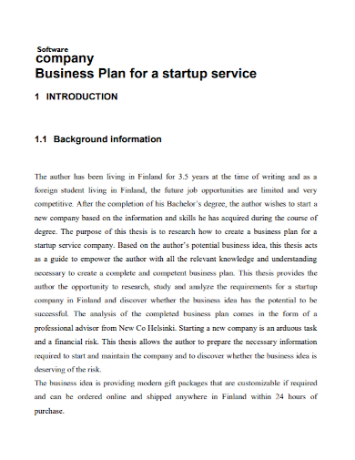 software company service business plan