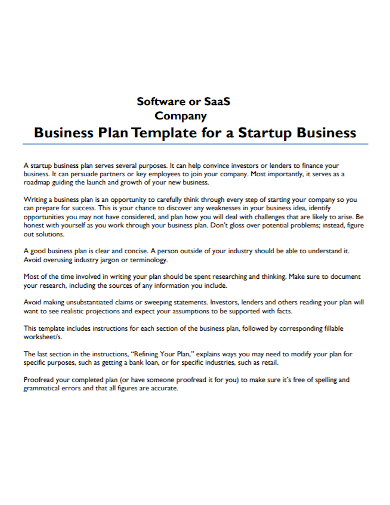 software company startup business plan
