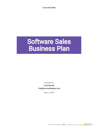 software sales business plan template
