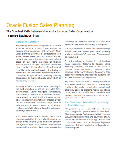software sales organization business plan
