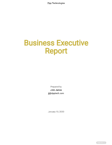 business executive report