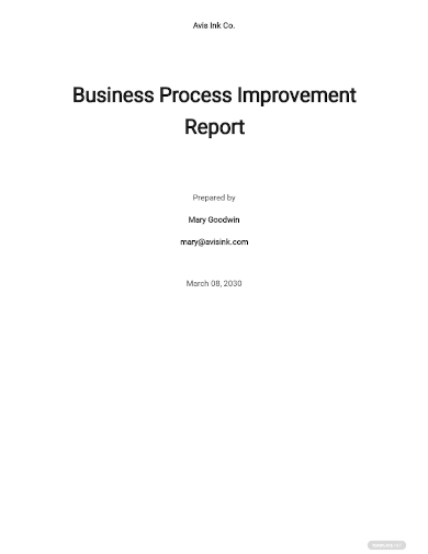 business process improvement report
