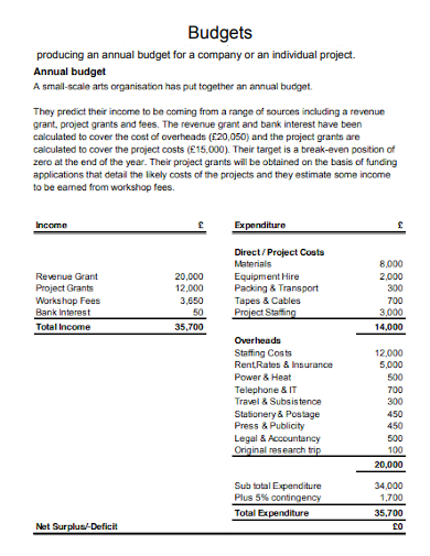 company annual budget