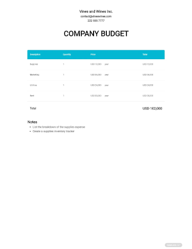 company budget template