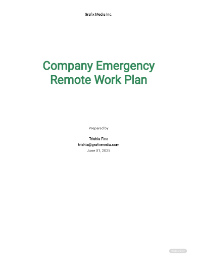 company emergency remote work plan template