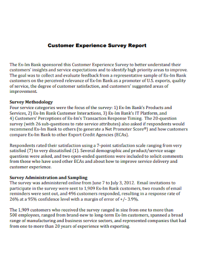 customer experience survey report
