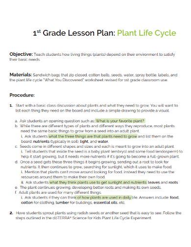 first grade plant life cycle lesson plan