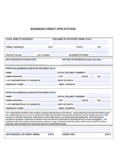 formal business credit application