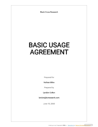 free basic usage agreement template