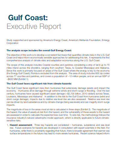 gulf coast executive report