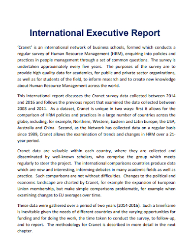 international executive report