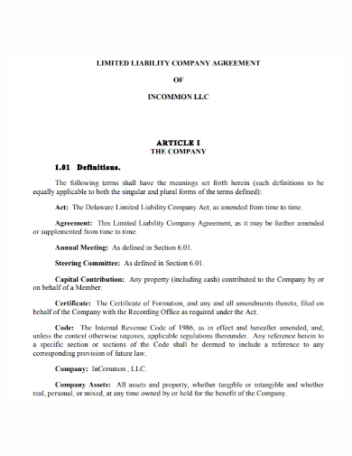 limited liability company agreement1