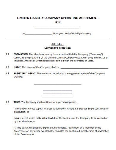 limited liability operating company agreement