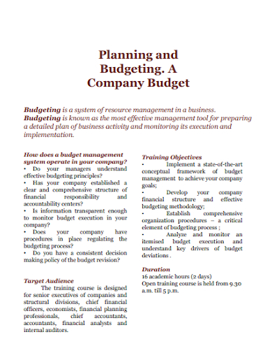 planning and budgeting of company budget