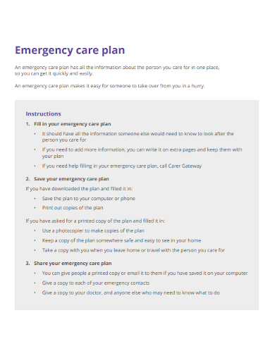 FREE 10+ Emergency Care Plan Samples in MS Word | Google Docs | Apple ...