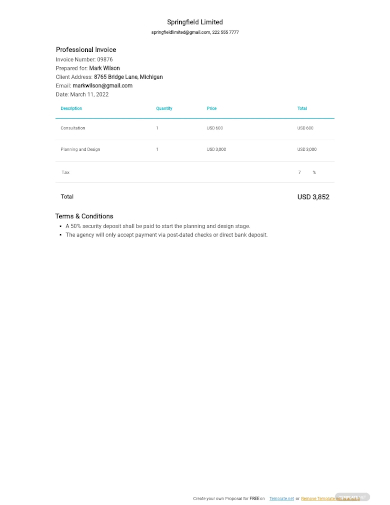 professional invoice template