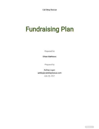 sample fundraising plan template