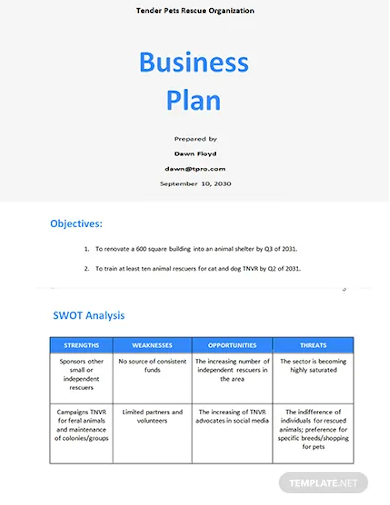 startup nonprofit business plan template