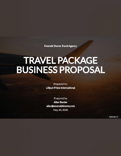 travel business proposal template