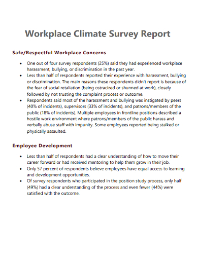 workplace climate survey report