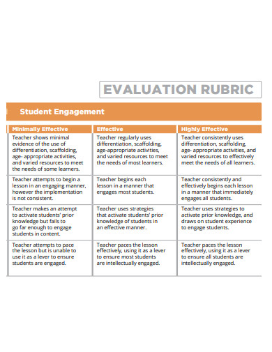 evaluation rubric