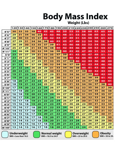 FREE 10+ BMI Chart Samples in PDF | DOC