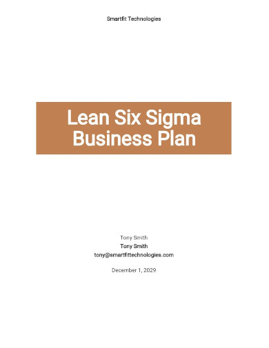 lean six sigma business plan